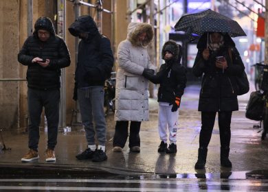 The berry packed with antioxidants that could shorten your winter cold and flu