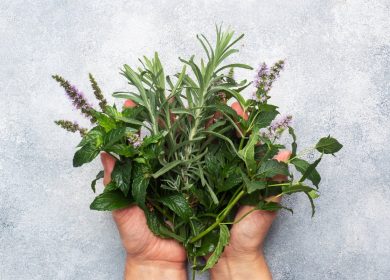 The herb linked to better memory, lower anxiety and Alzheimer’s protection